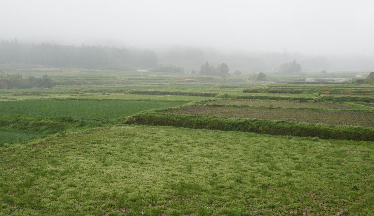 Tamanho do Terreno