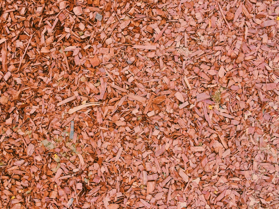 Biomass