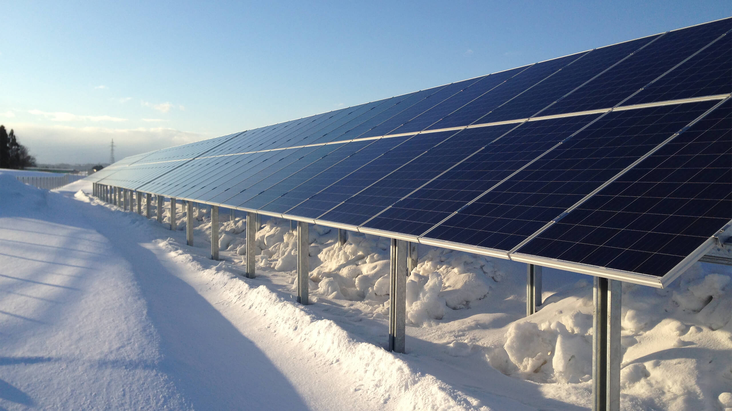 Decarbonized Society