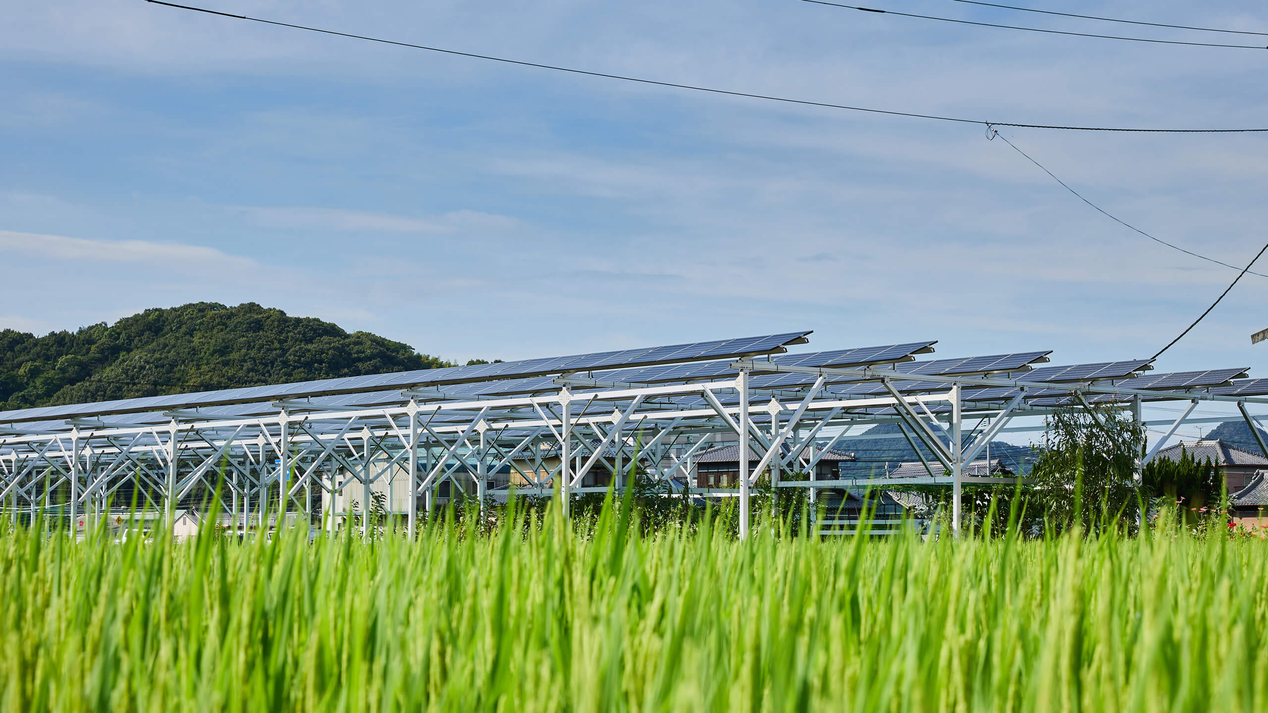 Sustainability